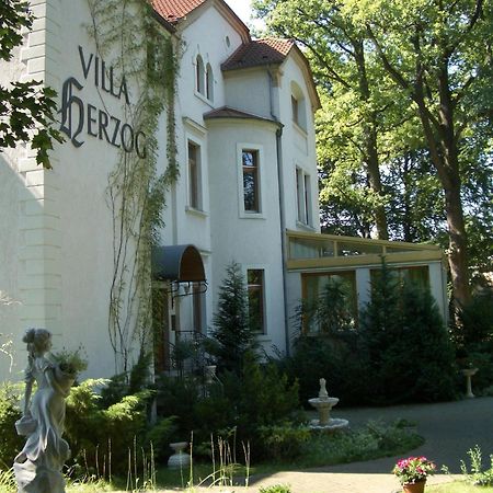 Hotel Villa Herzog Drezno Zewnętrze zdjęcie