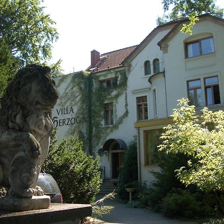 Hotel Villa Herzog Drezno Zewnętrze zdjęcie