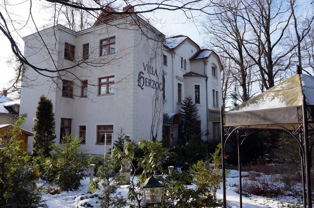 Hotel Villa Herzog Drezno Zewnętrze zdjęcie