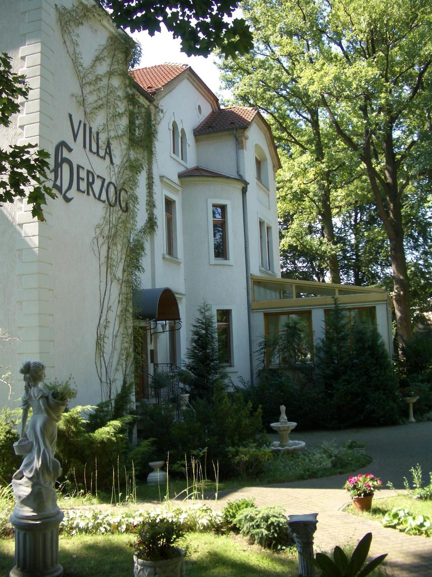Hotel Villa Herzog Drezno Zewnętrze zdjęcie